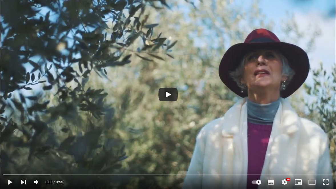 Margherita Buffatti - Olive Tree